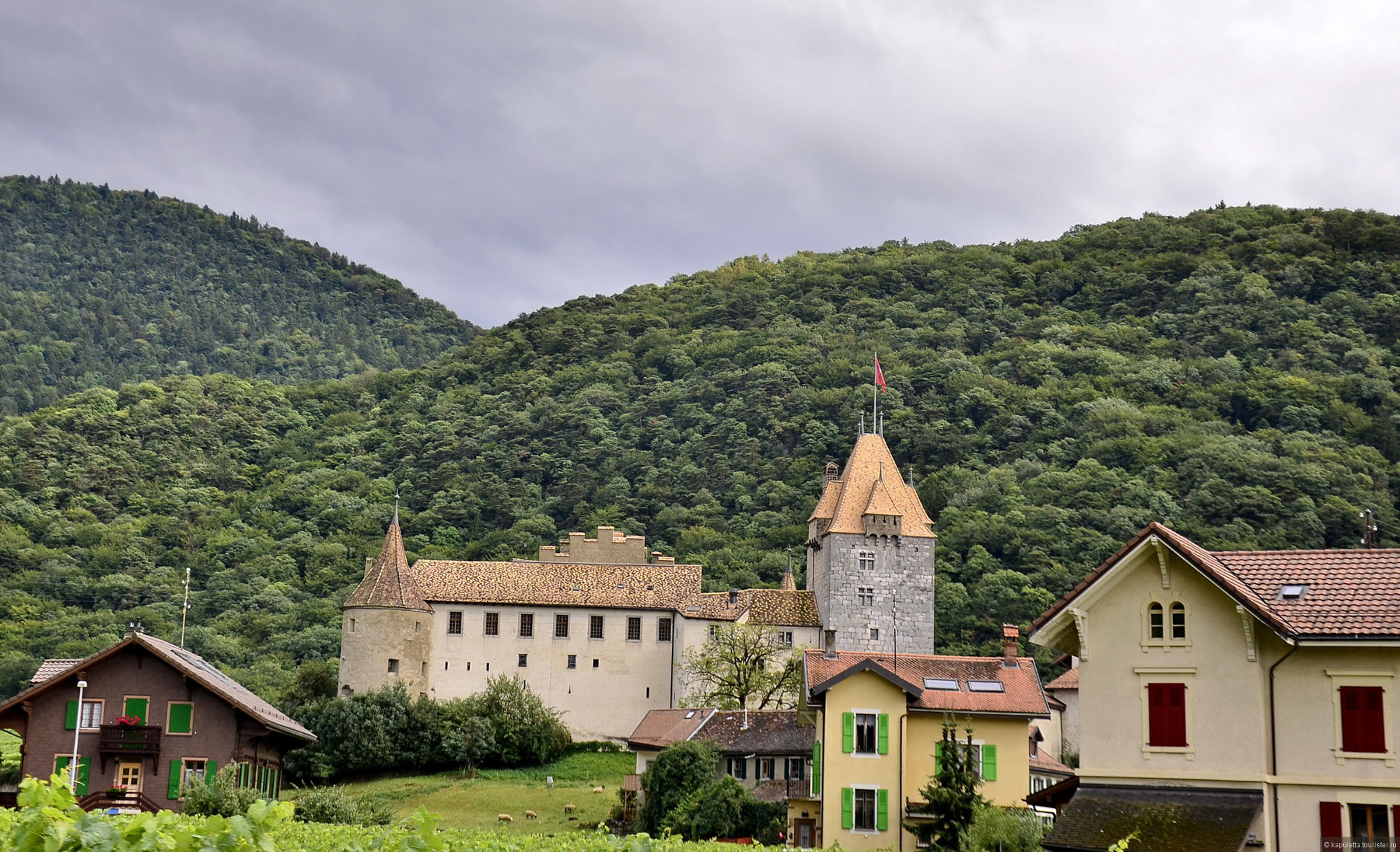 Aigle